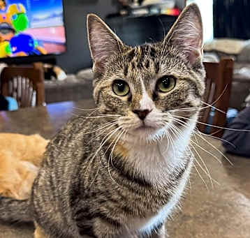 Photo of Parker