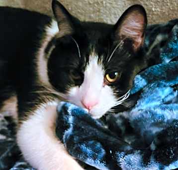 Photo of Spork