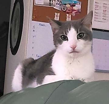 Photo of Jack