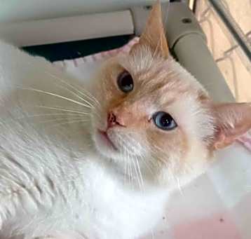 Photo of Hercules
