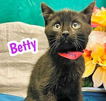 Photo of betty