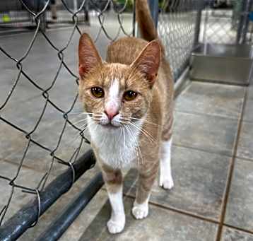 Photo of Bell