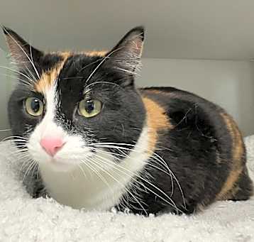 Photo of Marge(25-3740)