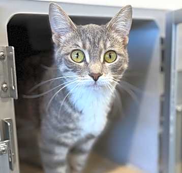 Photo of Kiki