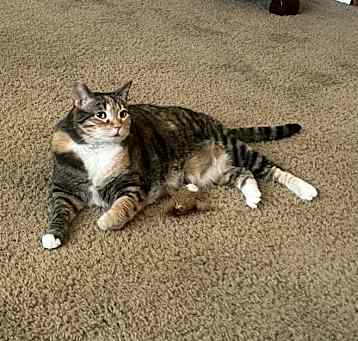Photo of Zari