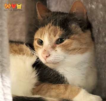 Photo of FREYJA