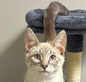 Photo of Captain Crunch