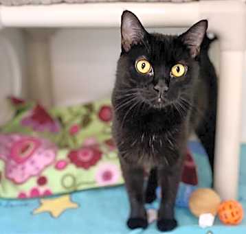 Photo of SPUNKY