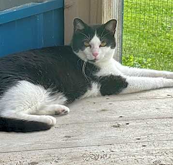 Photo of Tootie