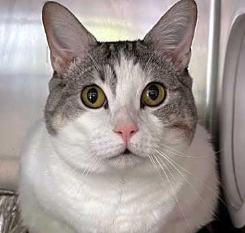 Photo of Jillian