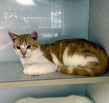 Photo of Calvin