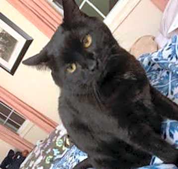 Photo of Leonard