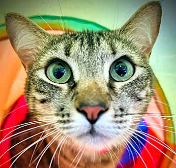 Photo of Stormy