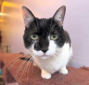 Photo of Frances
