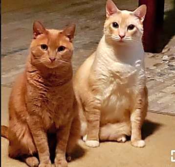 Photo of Tyberius and Gizmo