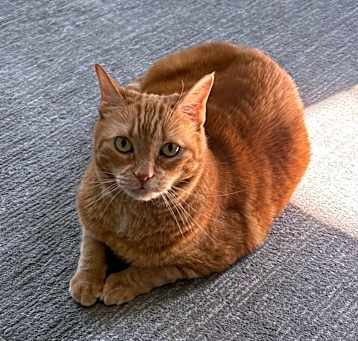 Photo of Thelma