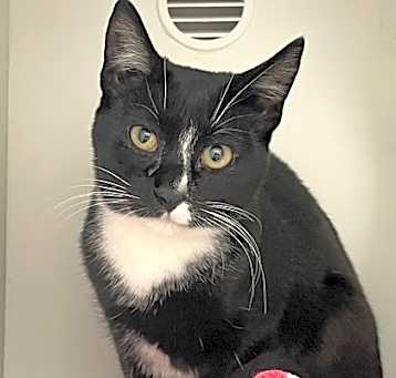 Photo of Betsy