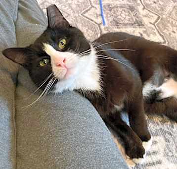 Photo of Frannie (25-102)