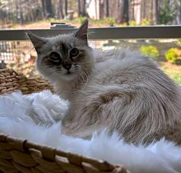 Photo of Kerly Grace