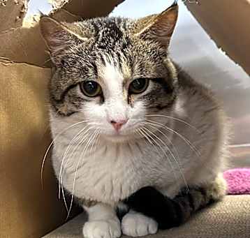 Photo of Django
