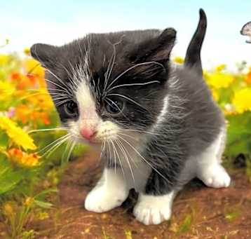 Photo of Bridget