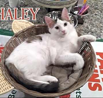 Photo of Haley
