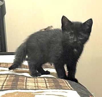 Photo of Posie