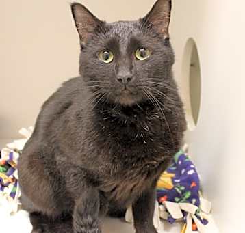 Photo of Spooky