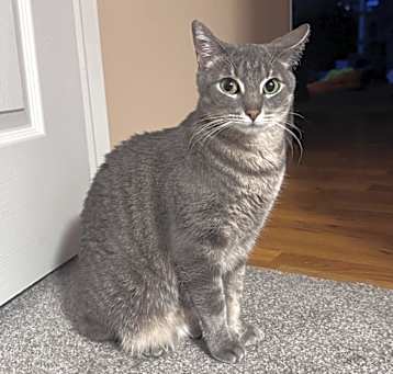 Photo of Nasima-Foster