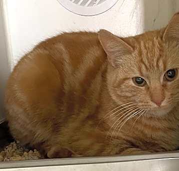 Photo of Stanley
