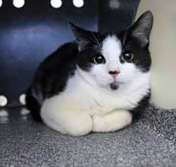 Photo of Frodo