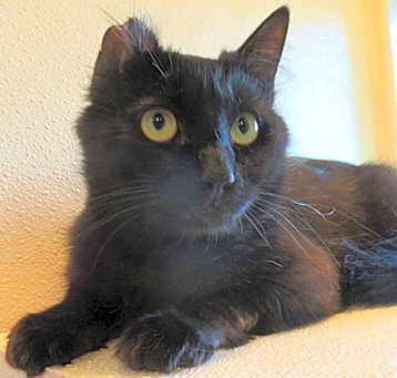 Photo of Mavis