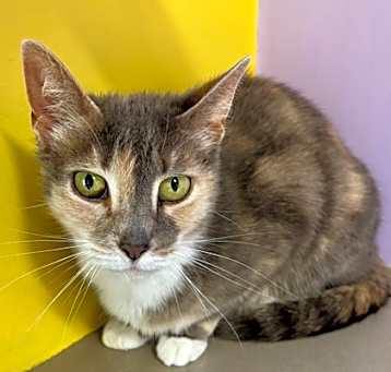 Photo of Cleo