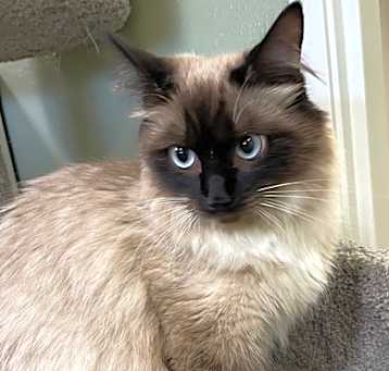 Photo of Misty
