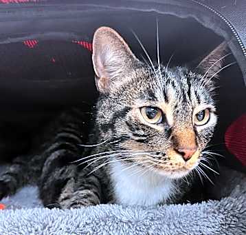 Photo of MILO
