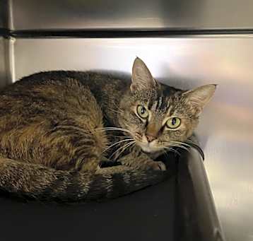 Photo of Zipper