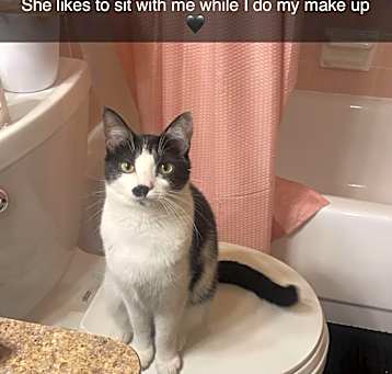 Photo of Phoebe