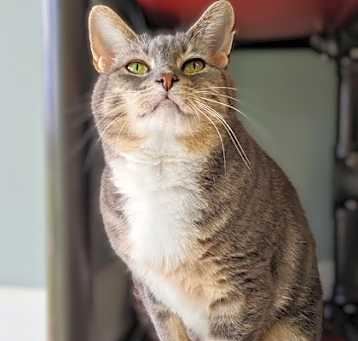 Photo of Sylvia