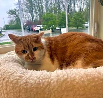 Photo of Squeaky