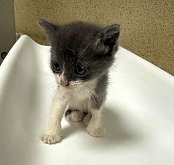 Photo of CAPTAIN