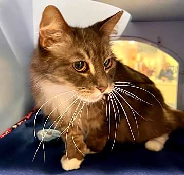 Photo of TINKERBELLE