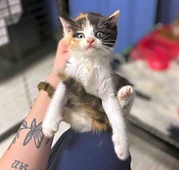 Photo of Jessicat