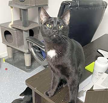 Photo of Huey