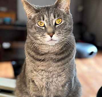 Photo of Mateo