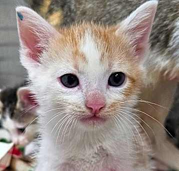 Photo of Happy