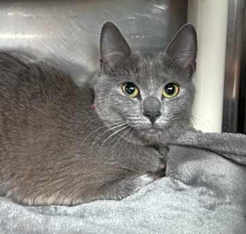 Photo of Mia