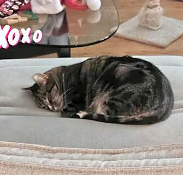 Photo of Lola