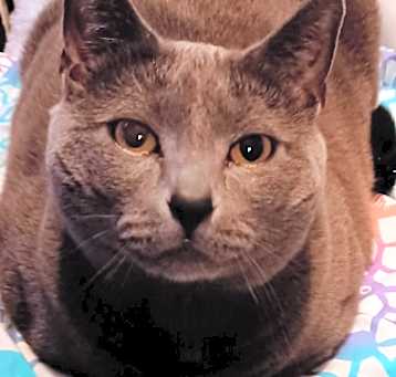 Photo of Bud