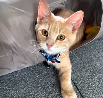 Photo of Doug (C000-238) - Costa Mesa Location