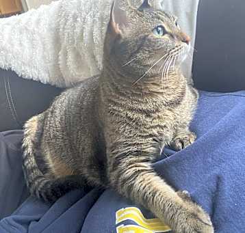 Photo of Pepper